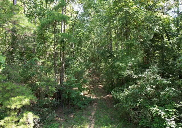 Homes for sale in Grapeland, TX | 000 County Road 2240, Grapeland, TX 75844 | MLS# 14413876