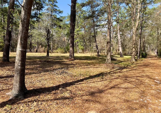 Homes for sale in New Caney, TX | Tbd Kent Dr, New Caney, TX 77357 | MLS# 30070403