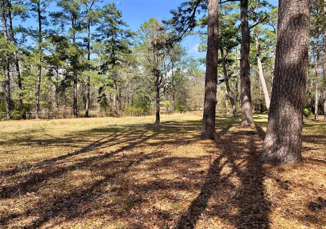 Homes for sale in New Caney, TX | Tbd Kent Dr, New Caney, TX 77357 | MLS# 30070403