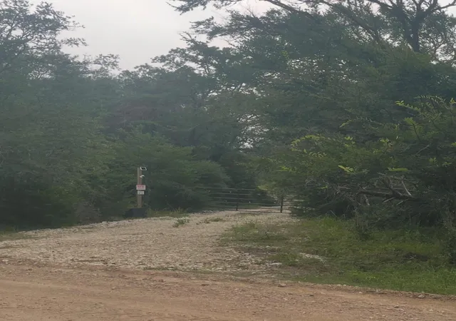 Photo 1 of Land for sale at 5632 County Road 317, Caldwell, TX 77836 | MLS# 74250231 | Listing updated on 2026-09-07