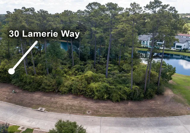 Homes for sale in The Woodlands, TX | 30 Lamerie Way, The Woodlands, TX 77382 | MLS# 20212438