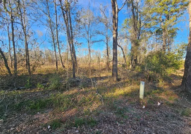 13th image of Lot 47 Sherwood Dr, Shepherd, TX 77371 | MLS# 29448243