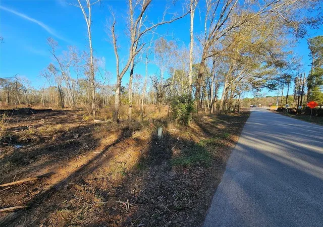 2nd image of Lot 47 Sherwood Dr, Shepherd, TX 77371 | MLS# 29448243