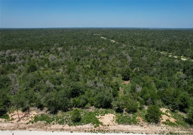 5th image of 0 Pr 613, Kosse, TX 76653 | MLS# 90673215