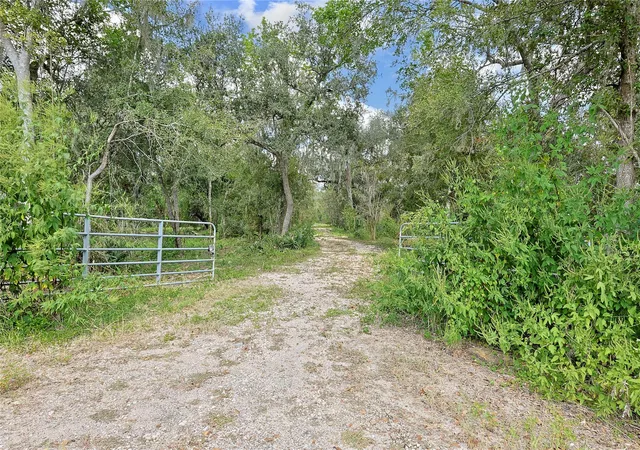 Photo 1 of Land for sale at 6306 County Rd 244, Brazoria, TX 77422 | MLS# 81272982 | Listing updated on 2026-05-12