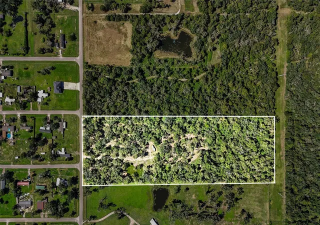 Photo 2 of Land for sale at 6306 County Rd 244, Brazoria, TX 77422 | MLS# 81272982 | Listing updated on 2026-05-12