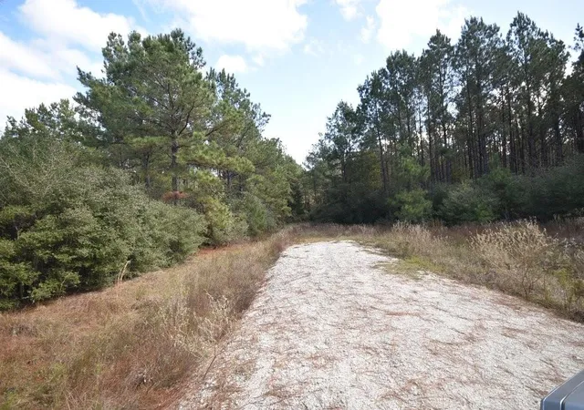 Photo 3 of Land for sale at 0 Bo Brown Rd, Trinity, TX 75862 | MLS# 8177366 | Listing updated on 2026-02-09