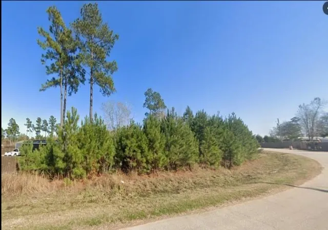 Photo 3 of Land for sale at 311 County Rd 3479, Cleveland, TX 77327 | MLS# 25101379 | Listing updated on 2026-07-26