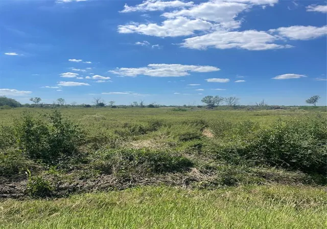 2nd image of 7602 Fm 360 Rd, Needville, TX 77461 | MLS# 16603610