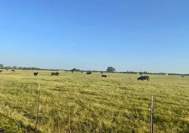 Photo 3 of Land for sale at Tbd Cr 358, Gause, TX 77857 | MLS# 81356051 | Listing updated on 2026-07-08