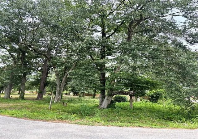 Photo 3 of Land for sale at 10406 Belridge St, Houston, TX 77016 | MLS# 95699546 | Listing updated on 2026-07-30