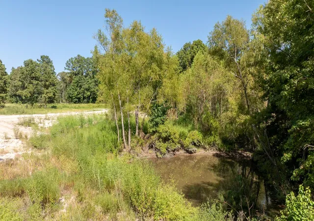 Photo 2 of Land for sale at 16124 Fm 2109, Zavalla, TX 75980 | MLS# 73989120 | Listing updated on 2026-08-24