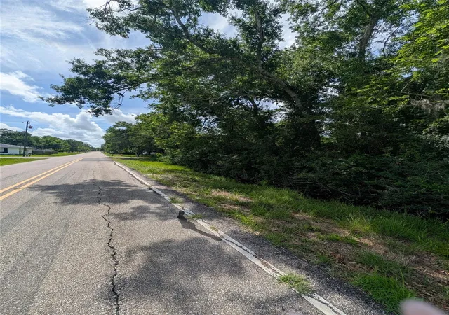 Homes for sale in Brazoria, TX | 000 Oak Forest St, Brazoria, TX 77422 | MLS# 78934150