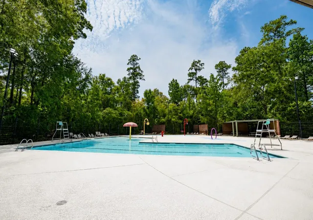 Homes for sale in The Woodlands, TX | 10 Orchid Grove Pl, The Woodlands, TX 77385 | MLS# 60698603