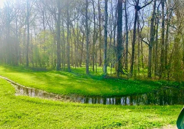 Photo 3 of Land for sale at 3 Lots County Rd 2500, Liberty, TX 77575 | MLS# 2834586 | Listing updated on 2026-06-16