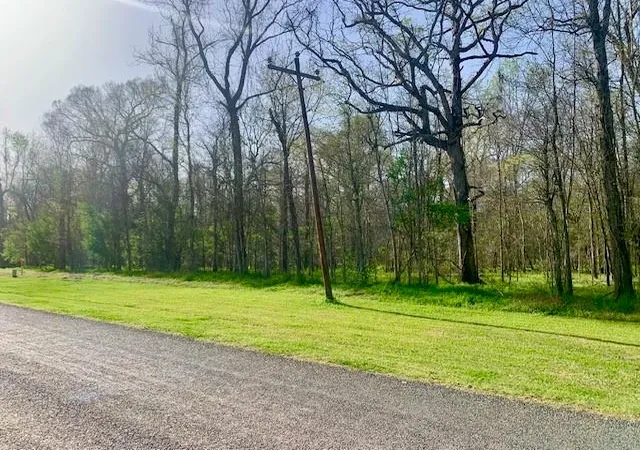 Photo 4 of Land for sale at 3 Lots County Rd 2500, Liberty, TX 77575 | MLS# 2834586 | Listing updated on 2026-06-16