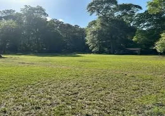 1st image of 220 Cherokee Trl, Livingston, TX 77351 | MLS# 97402709