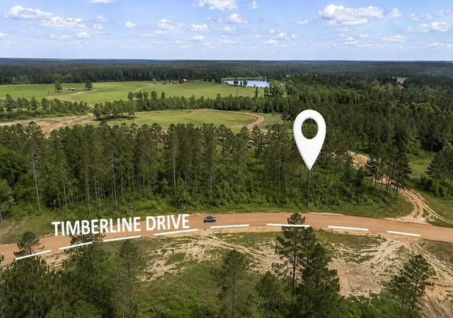 1st image of 000 Timberline Dr, Hillister, TX 77624 | MLS# 77119729