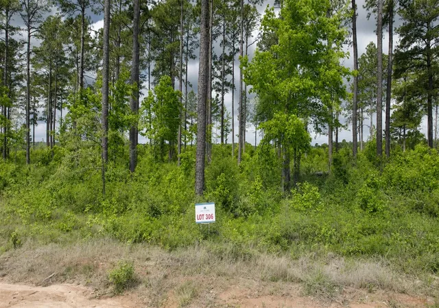 2nd image of 000 Timberline Dr, Hillister, TX 77624 | MLS# 77119729