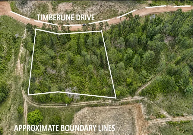 Photo 3 of Land for sale at 000 Timberline Dr, Hillister, TX 77624 | MLS# 77119729 | Listing updated on 2026-09-16