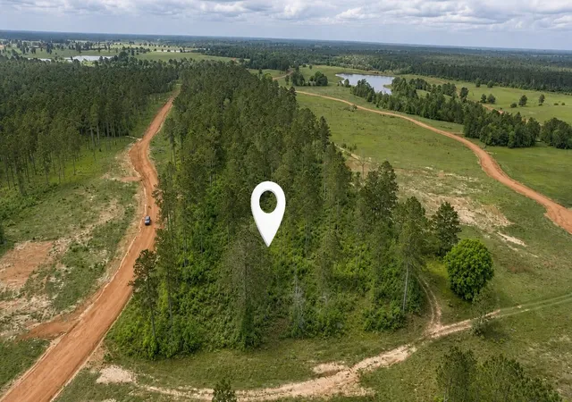Photo 4 of Land for sale at 000 Timberline Dr, Hillister, TX 77624 | MLS# 77119729 | Listing updated on 2026-09-16
