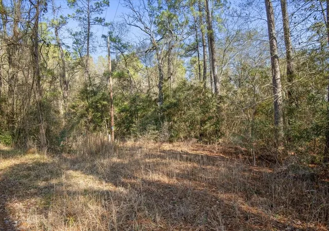 Photo 1 of Land for sale at 13321 Lueders Ln, Plantersville, TX 77363 | MLS# 19247563 | Listing updated on 2026-08-20