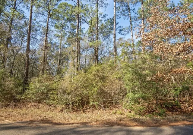 Photo 2 of Land for sale at 13321 Lueders Ln, Plantersville, TX 77363 | MLS# 19247563 | Listing updated on 2026-08-20