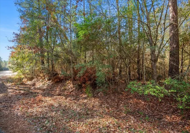 Photo 3 of Land for sale at 13321 Lueders Ln, Plantersville, TX 77363 | MLS# 19247563 | Listing updated on 2026-08-20