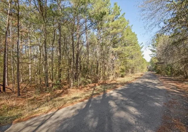 Photo 4 of Land for sale at 13321 Lueders Ln, Plantersville, TX 77363 | MLS# 19247563 | Listing updated on 2026-08-20