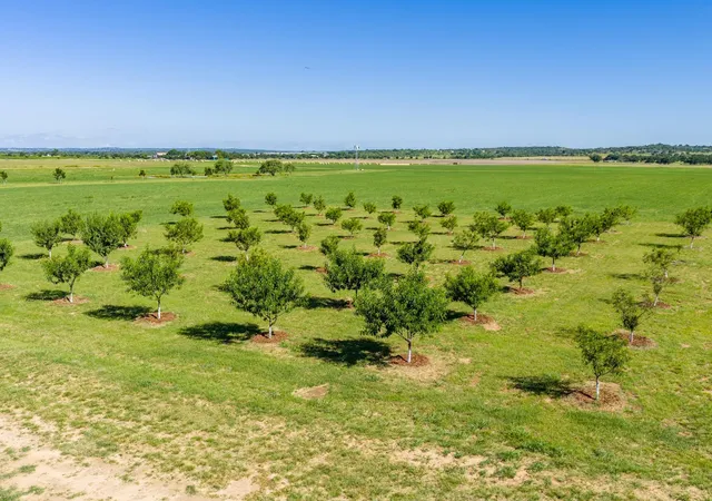 Photo 3 of Land for sale at 745 Dusty Farm Ln, Fredericksburg, TX 78624 | MLS# 95106478 | Listing updated on 2026-09-15