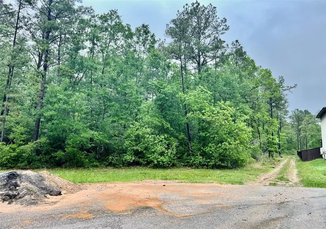 Photo 3 of Land for sale at 1069 Runner Dr, Dayton, TX 77535 | MLS# 56719132 | Listing updated on 2026-05-05