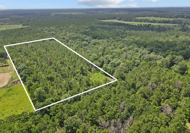 Homes for sale in Woodville, TX | 4012 Fm 2992, Woodville, TX 77660 | MLS# 87879763