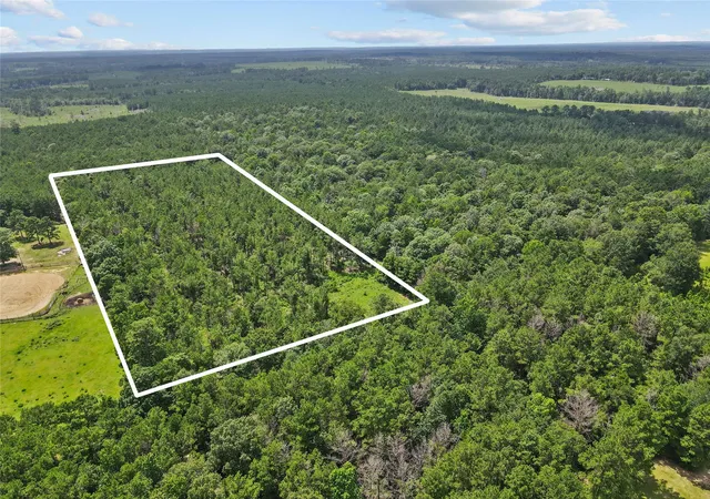 Homes for sale in Woodville, TX | 4012 Fm 2992, Woodville, TX 77660 | MLS# 87879763