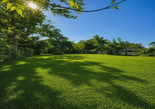Photo 3 of Sale Pending at 4115 Billingsley St, Houston, TX 77009 | MLS# 29199678 | Listing updated on 2026-09-02