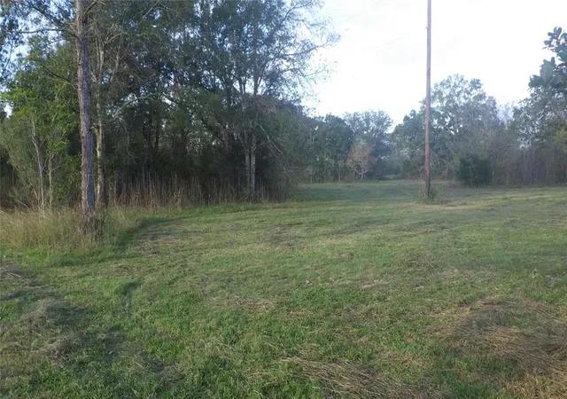 Photo 1 of Sale Pending at Fm Cr 319 County Road 319, Brazoria, TX 77422 | MLS# 85745381 | Listing updated on 2026-10-02