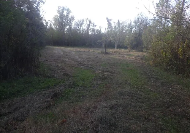 Photo 2 of Sale Pending at Fm Cr 319 County Road 319, Brazoria, TX 77422 | MLS# 85745381 | Listing updated on 2026-10-02