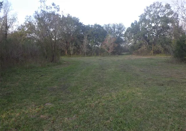 Photo 3 of Sale Pending at Fm Cr 319 County Road 319, Brazoria, TX 77422 | MLS# 85745381 | Listing updated on 2026-10-02