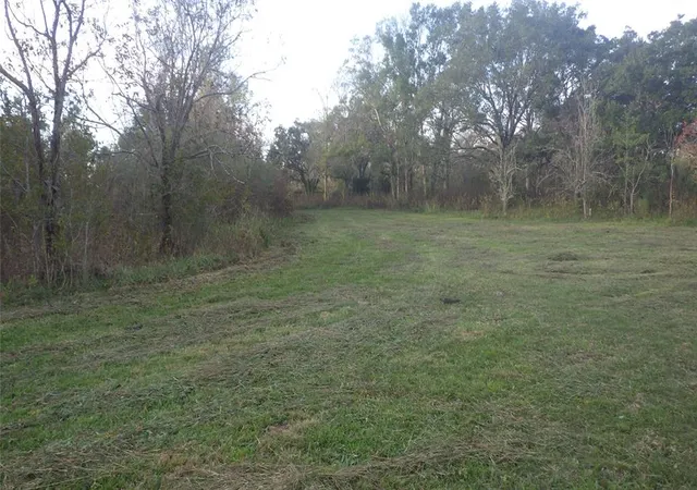 Photo 3 of Sale Pending at Fm Cr 319 County Road 319, Brazoria, TX 77422 | MLS# 85745381 | Listing updated on 2026-10-02