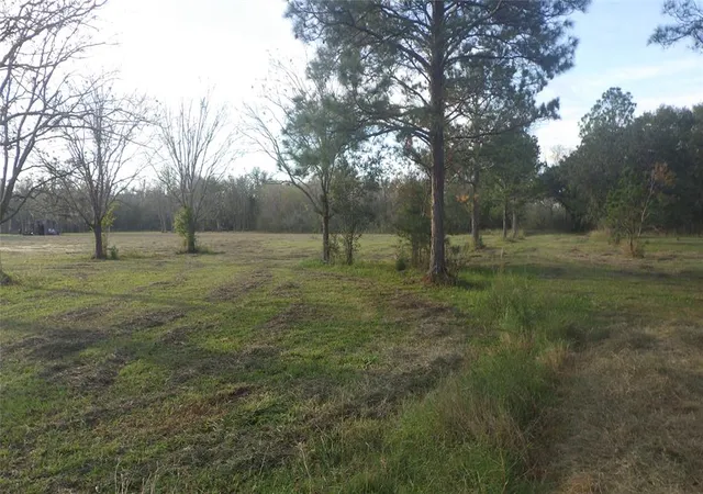 Photo 4 of Sale Pending at Fm Cr 319 County Road 319, Brazoria, TX 77422 | MLS# 85745381 | Listing updated on 2026-10-02