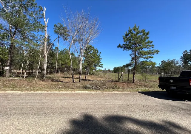 Photo 3 of Land for sale at 3738 County Rd 2650, Cleveland, TX 77327 | MLS# 28972749 | Listing updated on 2026-08-25