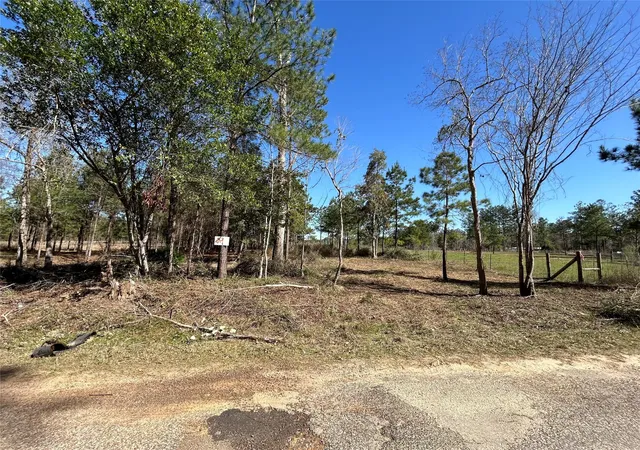 Photo 4 of Land for sale at 3738 County Rd 2650, Cleveland, TX 77327 | MLS# 28972749 | Listing updated on 2026-08-25