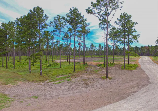 2nd image of 004 Lucky 13 Rd, Livingston, TX 77351 | MLS# 65516094