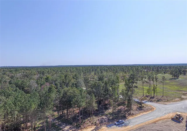 4th image of 004 Lucky 13 Rd, Livingston, TX 77351 | MLS# 65516094