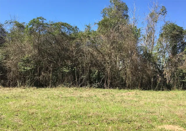 Homes for sale in Garrison, TX | Lot 8 County Road 175, Garrison, TX 75946 | MLS# 62879079
