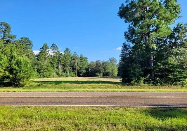 Homes for sale in Hillister, TX | Tbd Fm 1013, Hillister, TX 77624 | MLS# 27564383
