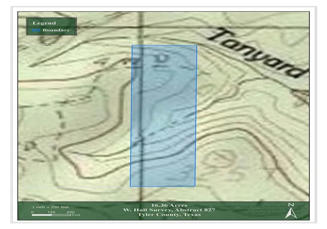 26th image of Tbd Off Of County Road 2580, Colmesneil, TX 75938 | MLS# 3355535