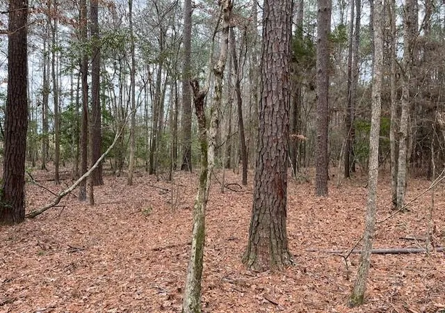 4th image of Tbd Off Of County Road 2580, Colmesneil, TX 75938 | MLS# 3355535