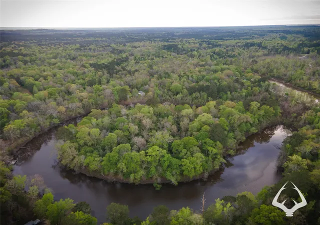 Photo 3 of Land for sale at 4804 County Road 3900, Colmesneil, TX 75938 | MLS# 39513758 | Listing updated on 2026-08-29
