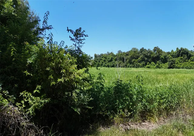 1st image of Tbd County Road 42, Rosharon, TX 77583 | MLS# 70529638
