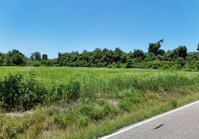 2nd image of Tbd County Road 42, Rosharon, TX 77583 | MLS# 70529638